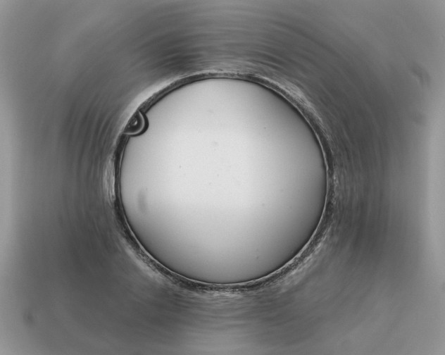 X0000115050838200911091423