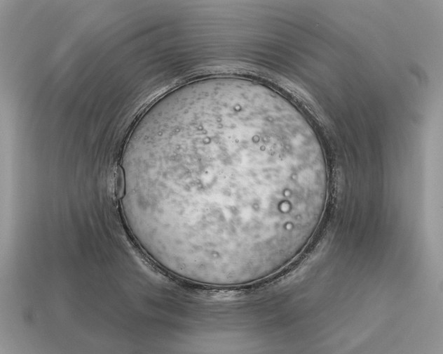 X0000115050841200911091423