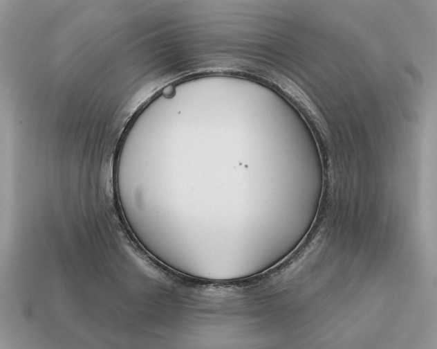 X0000115050842200911091423