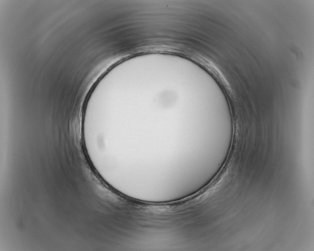 X0000115050844200911091423