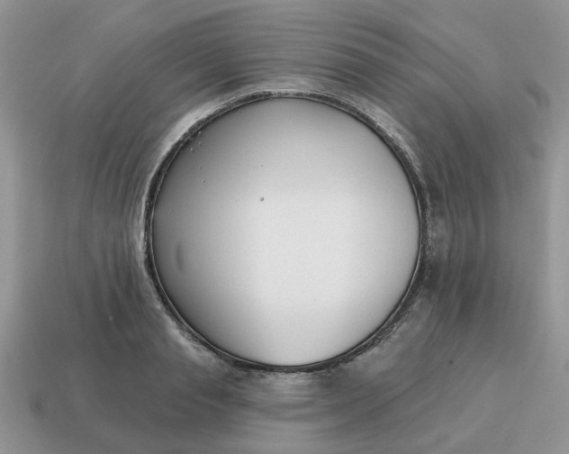 X0000115050845200911091423