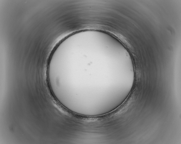 X0000115050846200911091423