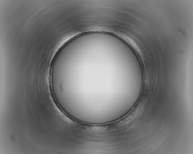 X0000115050847200911091423