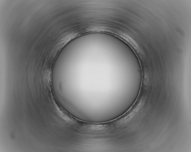 X0000115050849200911091423