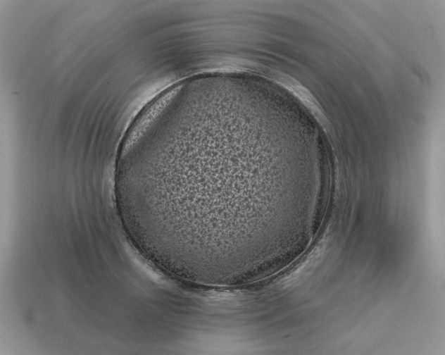 X0000115050850200911091423