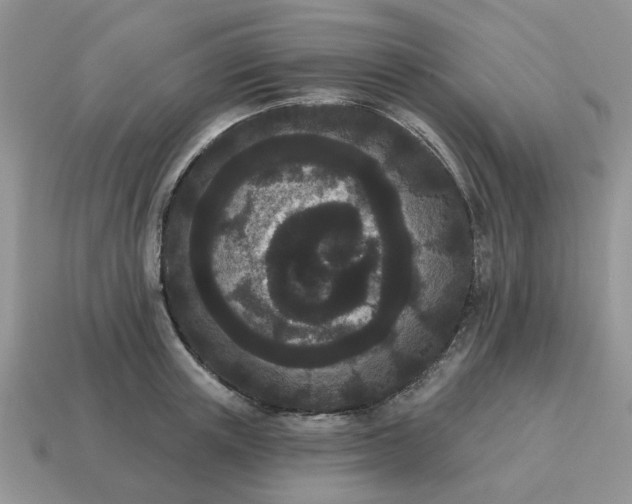 X0000115050851200911091423