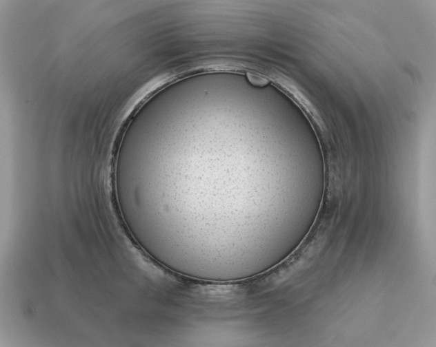 X0000115050853200911091423