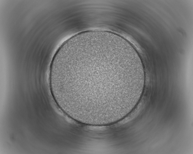 X0000115050856200911091424