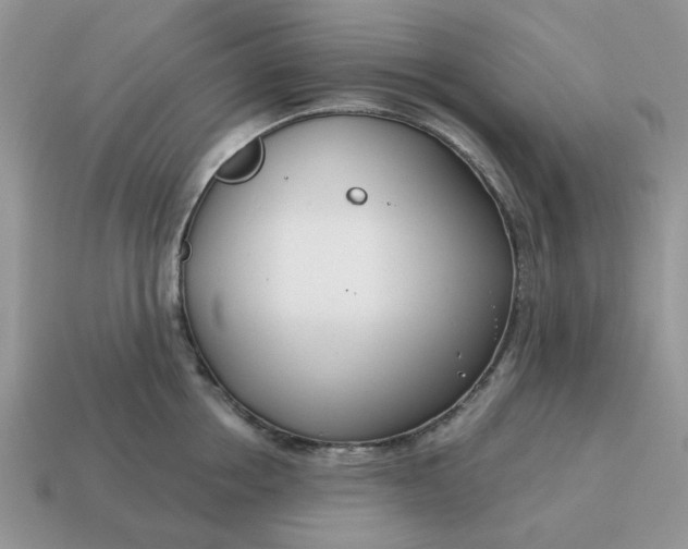 X0000115050858200911091424