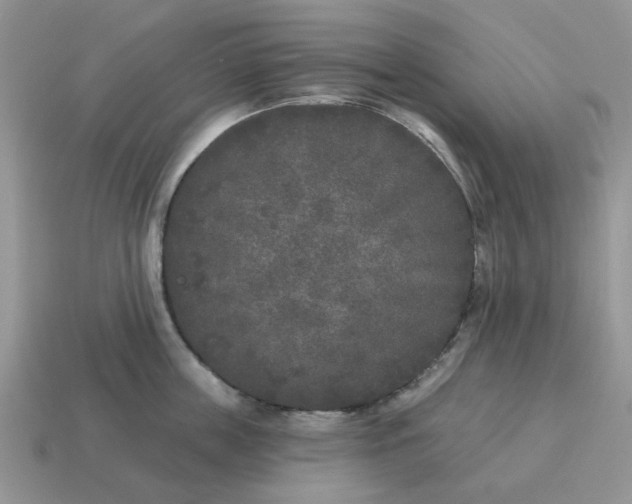X0000115050859200911091424