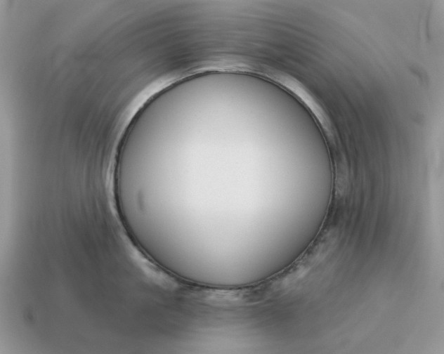 X0000115050861200911091424