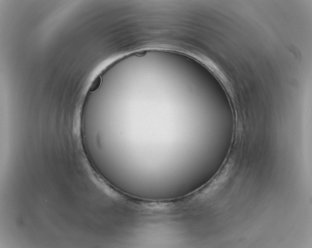 X0000115050862200911091424