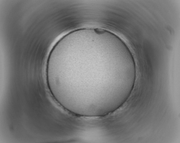 X0000115050864200911091424