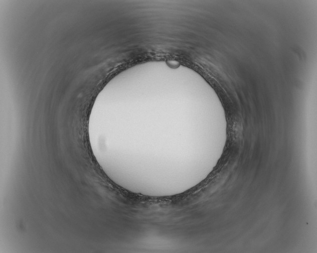 X0000115050865200911091423
