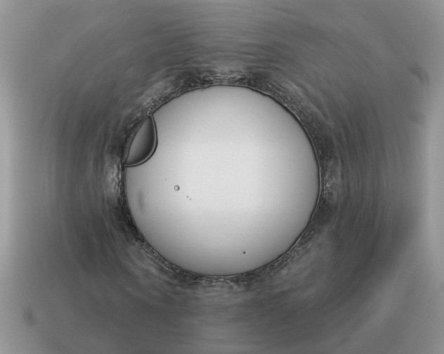 X0000115050866200911091423