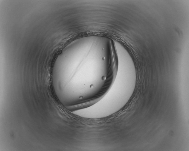 X0000115050868200911091423
