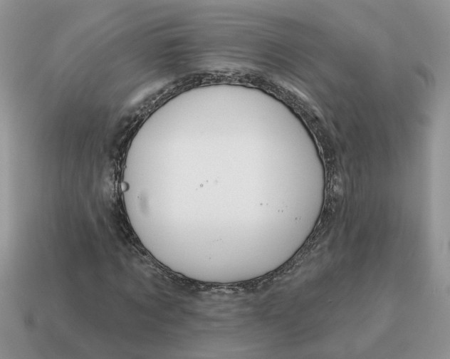 X0000115050869200911091423