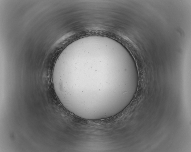 X0000115050870200911091423