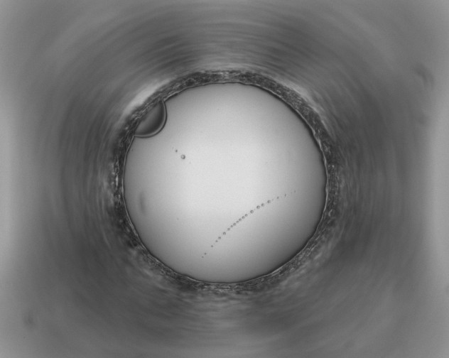 X0000115050871200911091423