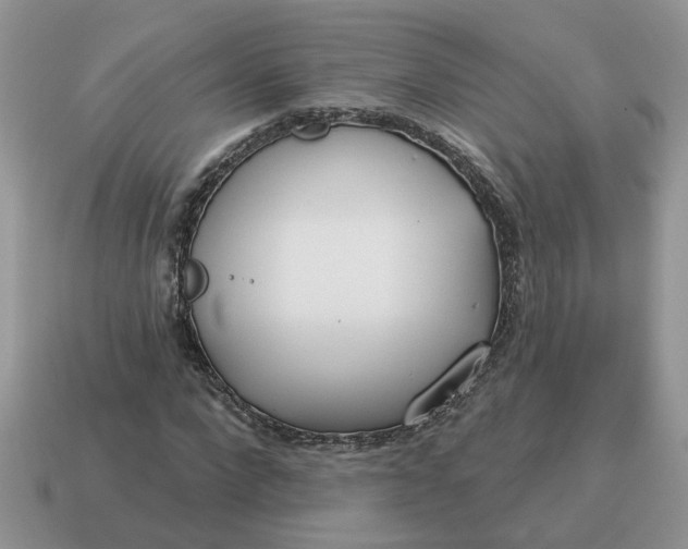 X0000115050872200911091423