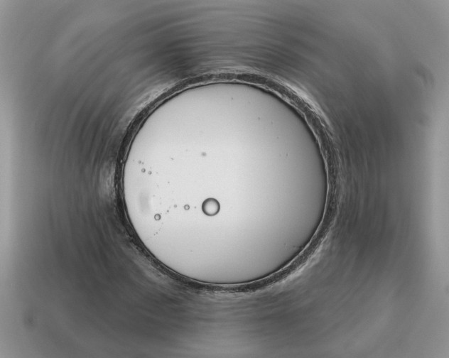 X0000115050873200911091423