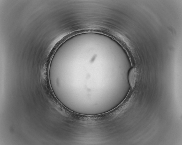 X0000115050875200911091423