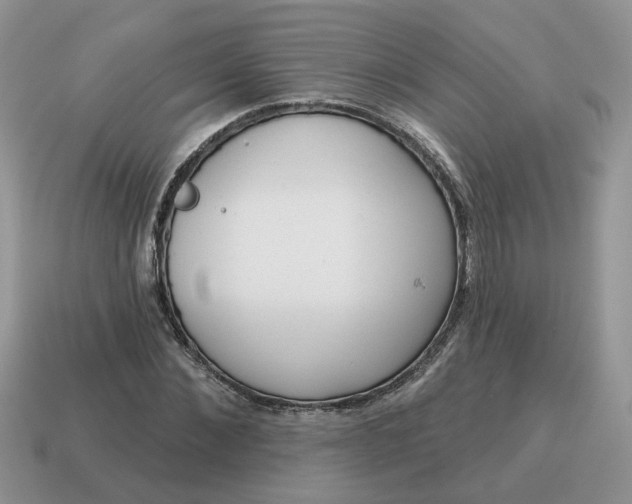 X0000115050876200911091423