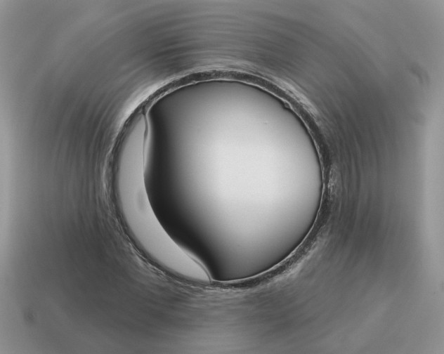 X0000115050877200911091423