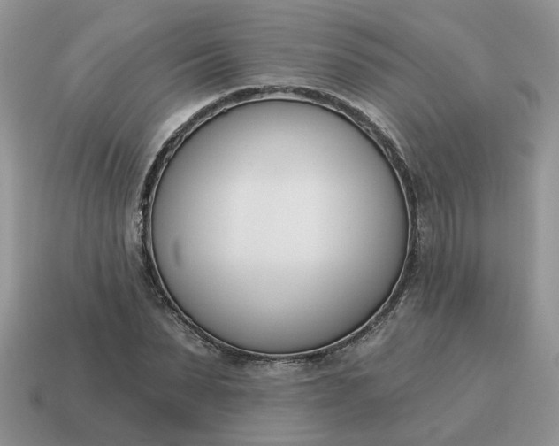 X0000115050879200911091423