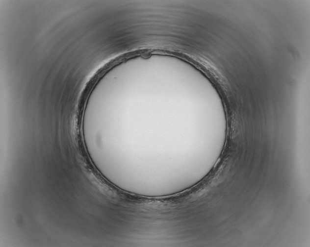 X0000115050880200911091423