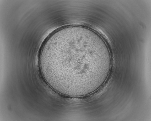 X0000115050883200911091423