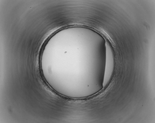 X0000115050884200911091423