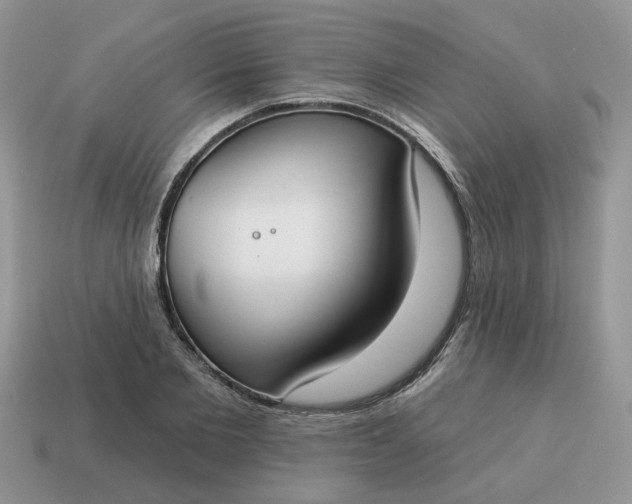 X0000115050885200911091423