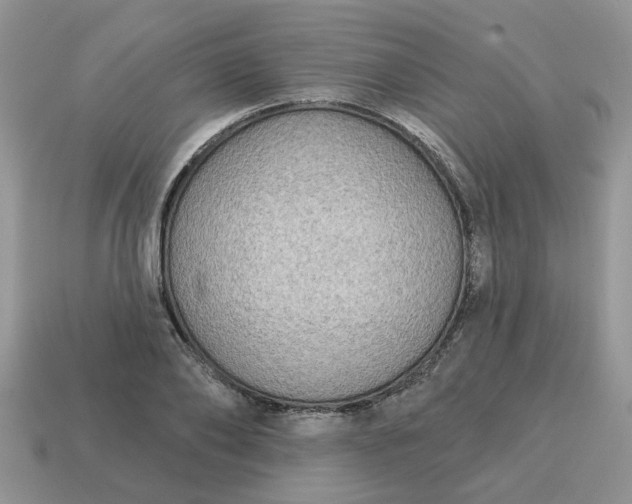 X0000115050886200911091423