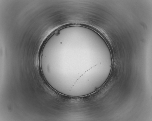 X0000115050887200911091423