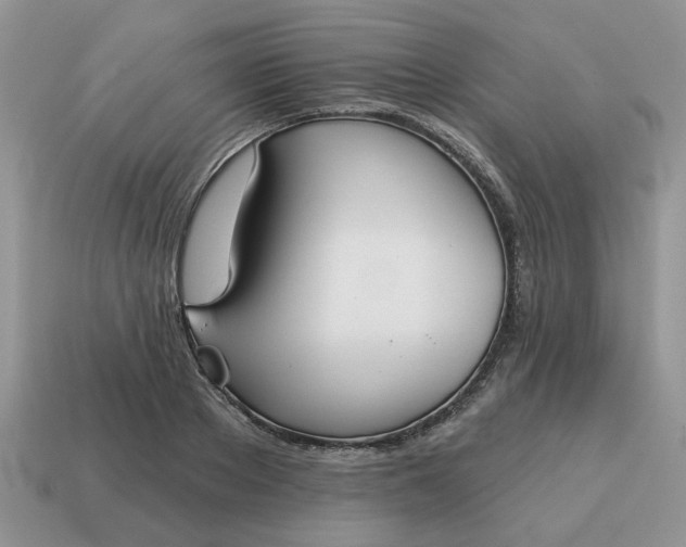 X0000115050889200911091423