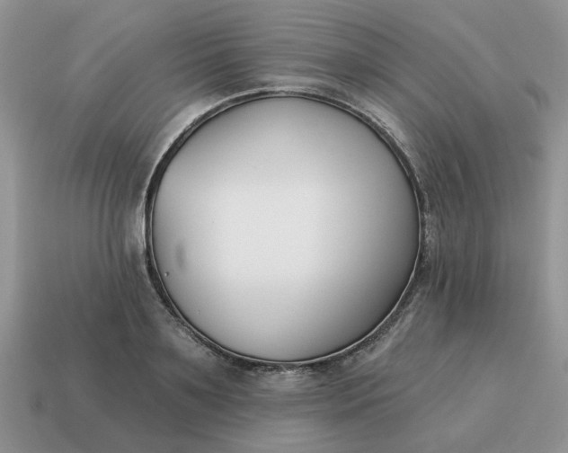 X0000115050891200911091423