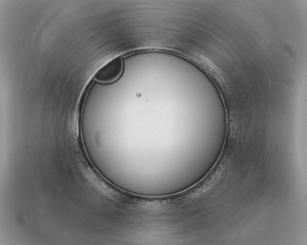 X0000115050892200911091423