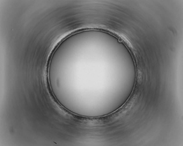 X0000115050895200911091423