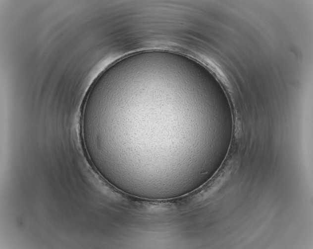 X0000115050899200911091423