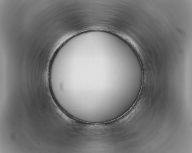 X0000115050902200911091423