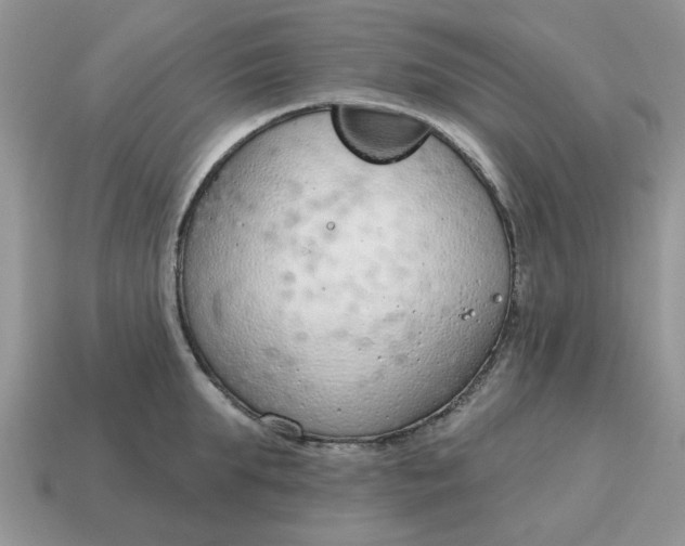 X0000115050903200911091423