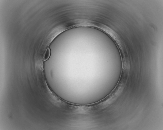X0000115050905200911091422
