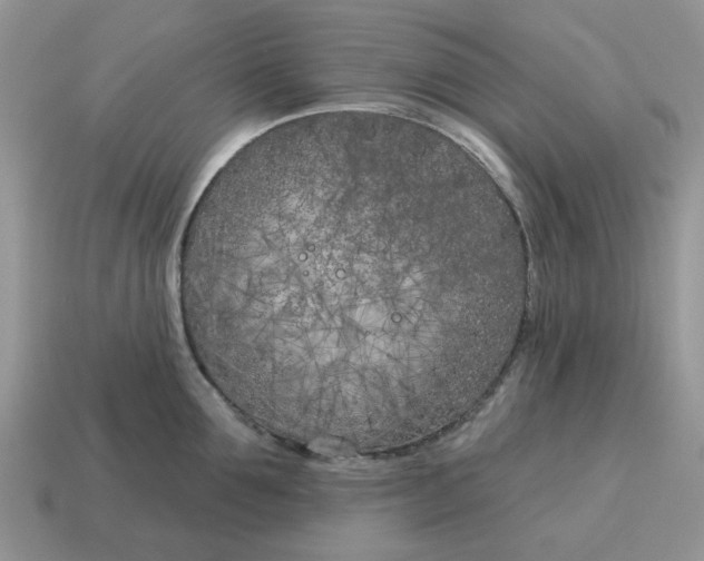 X0000115050907200911091422