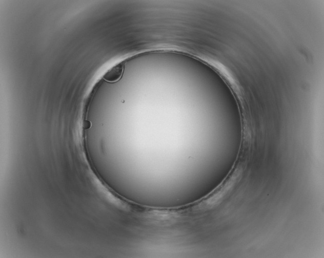 X0000115050910200911091422