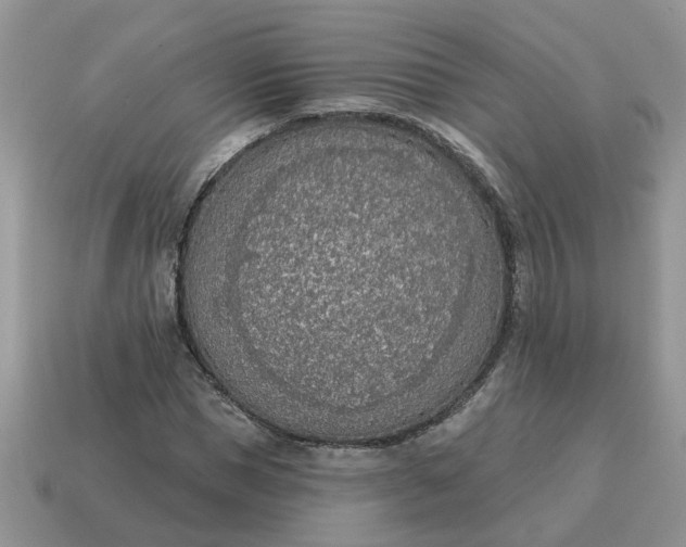 X0000115050921200911091422