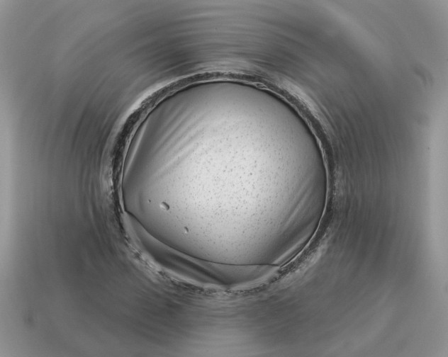 X0000115050923200911091422