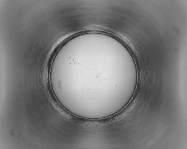 X0000115050931200911091422
