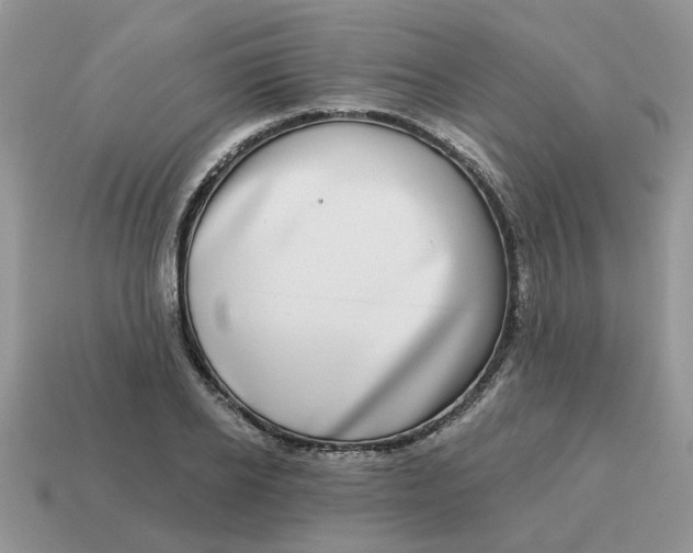 X0000115050934200911091422