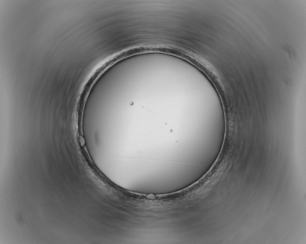 X0000115050935200911091422